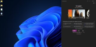 Windows Copilot in Windows 11
